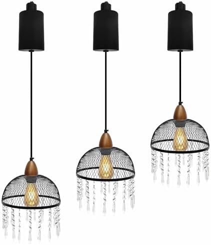 Adjustable Height Juno Track Pendant with Crystal Shade
