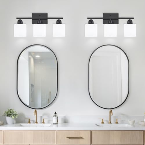 FAISHILAN 3-Light Black Vanity Light with Clear Glass Shades