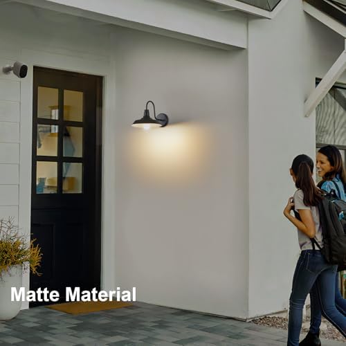Double Century 2-Pack Barn Lights Outdoor Wall Fixtures
