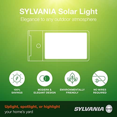 LEDVANCE Solar Flood Light with Daylight Sensor 5000K Black 1 Pack