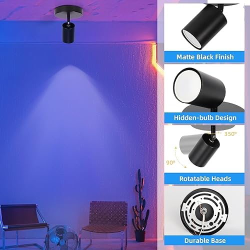 Vloitgol Dimmable Flush Mount Spotlight with 16 Colors