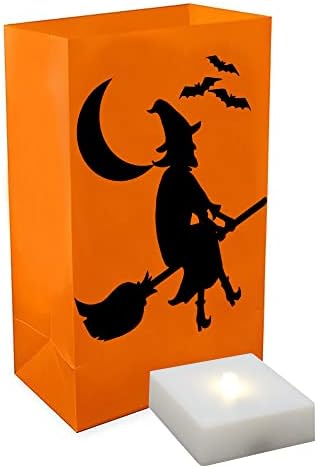 LumaBase Battery Operated Luminaria Kit with Timer Witch - Set of 6 1