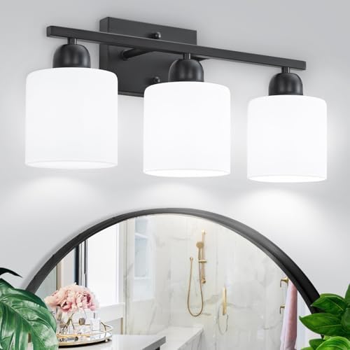 FAISHILAN 3-Light Black Vanity Light with Clear Glass Shades