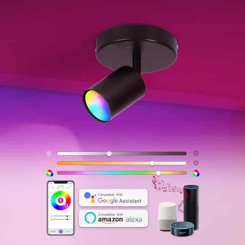 Vloitgol Dimmable Flush Mount Spotlight with 16 Colors