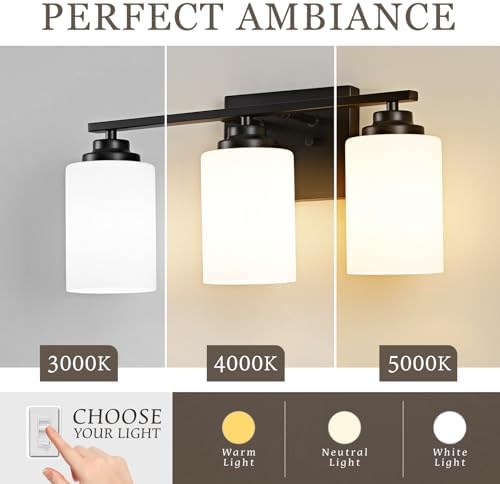 Osimir Black 3-Light Vanity Wall Sconce with Milky Glass