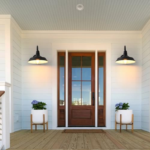 Double Century 2-Pack Barn Lights Outdoor Wall Fixtures
