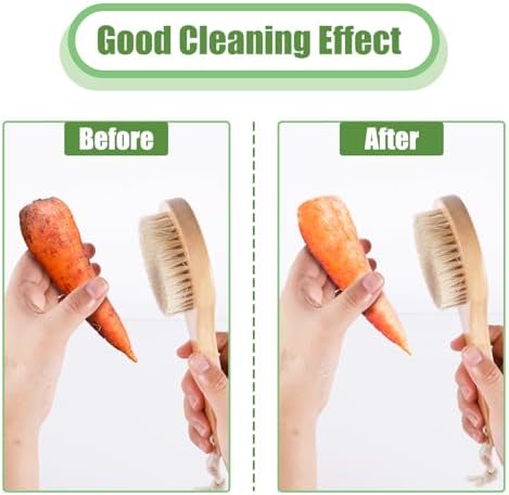 PEUTIER Vegetable Brush with Long Handle for Kitchen Cleaning