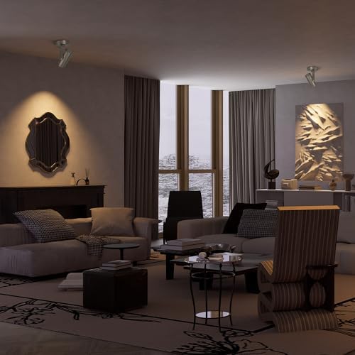 Lovuphoria Dimmable Zoom Ceiling Spotlight 12W LED Brushed Nickel