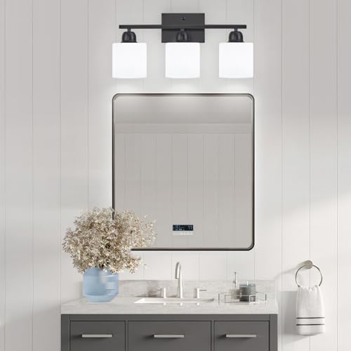 FAISHILAN 3-Light Black Vanity Light with Clear Glass Shades