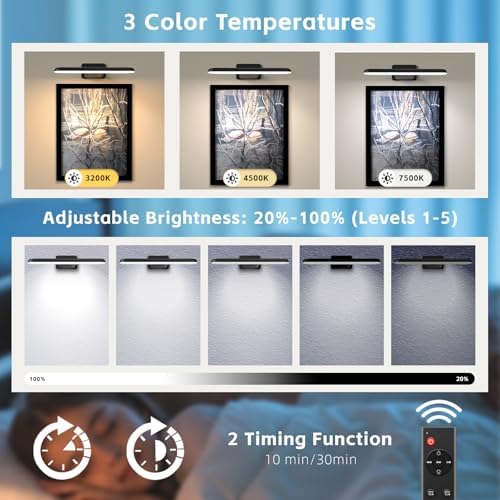 NARUNDREN 2 Pack Rechargeable Picture Lights for Wall with Remote Control