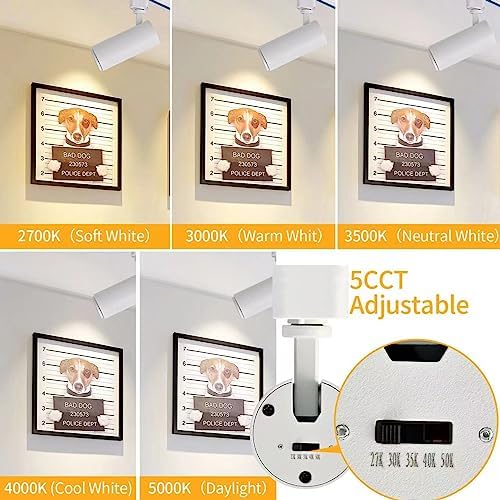 5CCT LED Track Lighting Heads 12W Dimmable 4-Pack