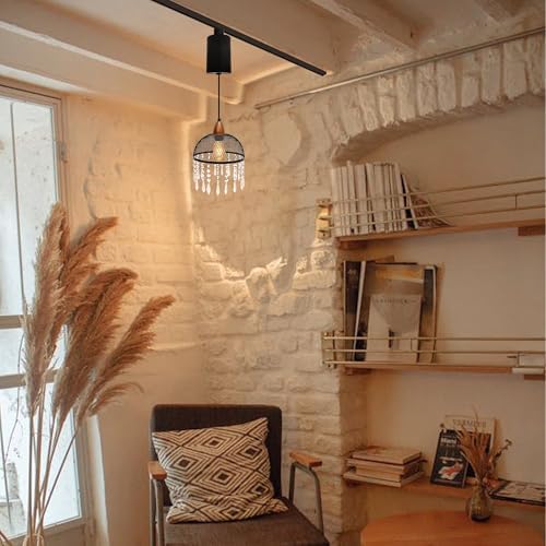 Adjustable Height Juno Track Pendant with Crystal Shade