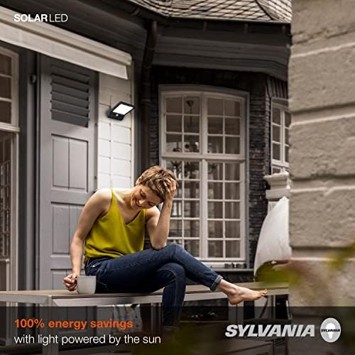 LEDVANCE Solar Flood Light with Daylight Sensor 5000K Black 1 Pack