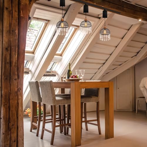 Adjustable Height Juno Track Pendant with Crystal Shade