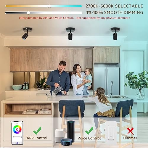 Vloitgol Dimmable Flush Mount Spotlight with 16 Colors