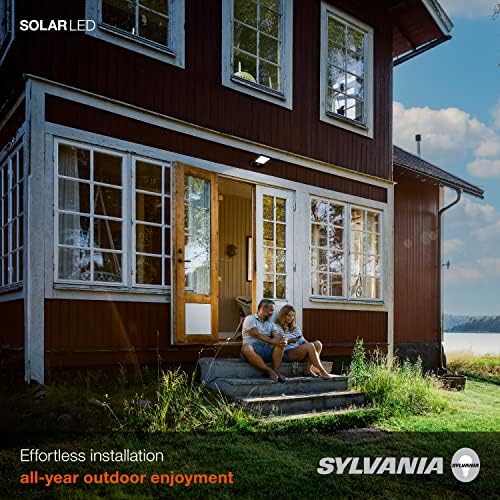 LEDVANCE Solar Flood Light with Daylight Sensor 5000K Black 1 Pack
