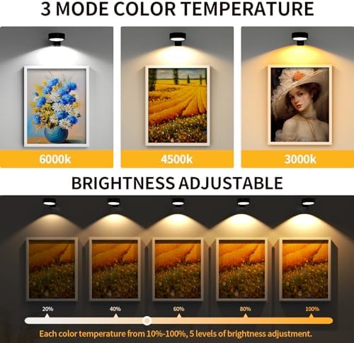 Narotood 3 Pack Rechargeable Picture Lights with Remote Control Timer