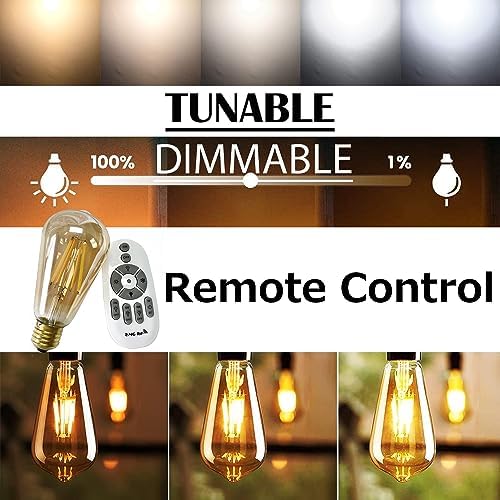 Adjustable Track Pendant Light with Crystal Shade and Smart Edison Bulbs