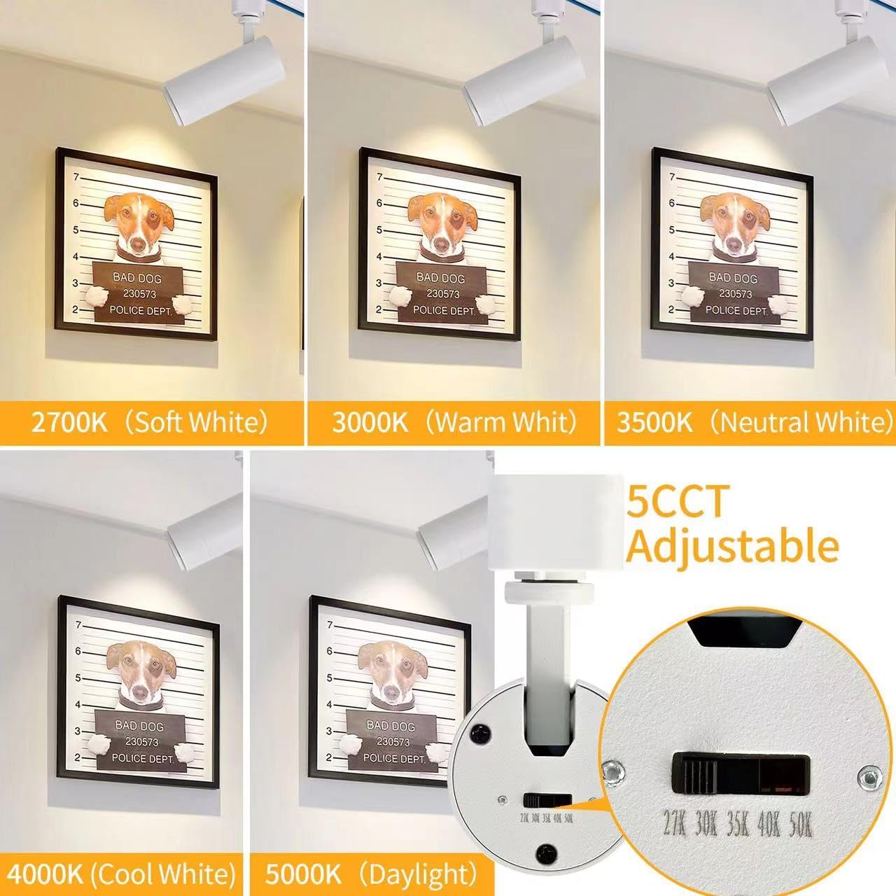 5CCT LED Track Lighting Heads 12W Dimmable 4-Pack