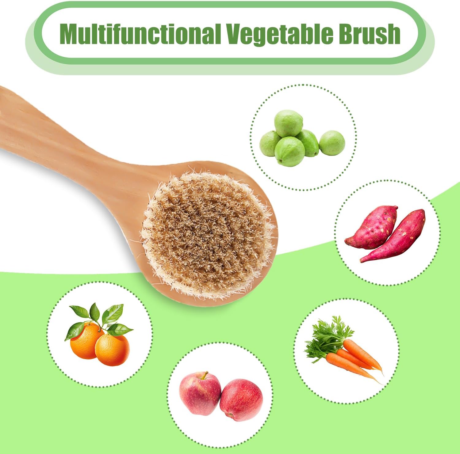 PEUTIER Vegetable Brush with Long Handle for Kitchen Cleaning