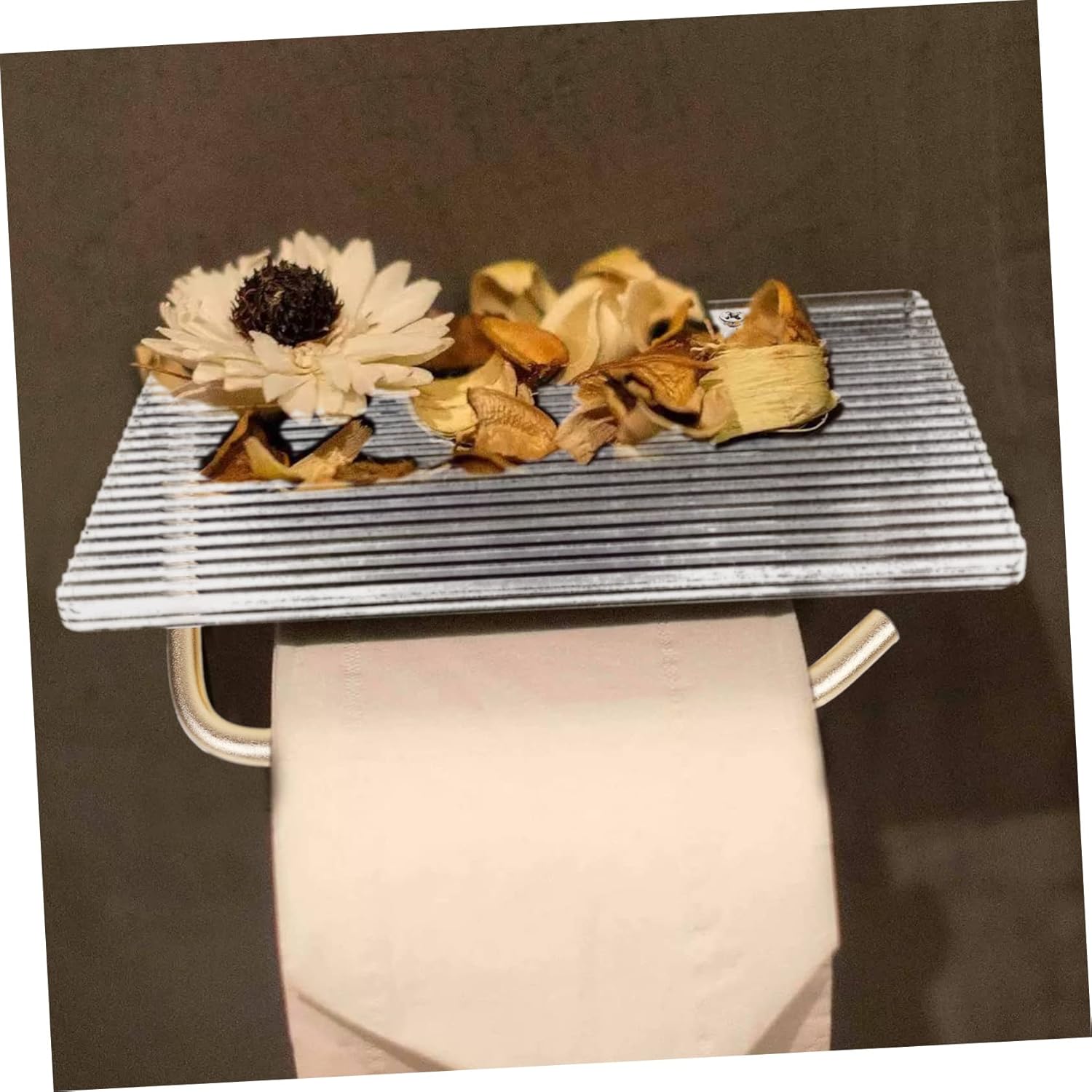 Yardenfun Wall Mounted Toilet Paper Holder with Shelf