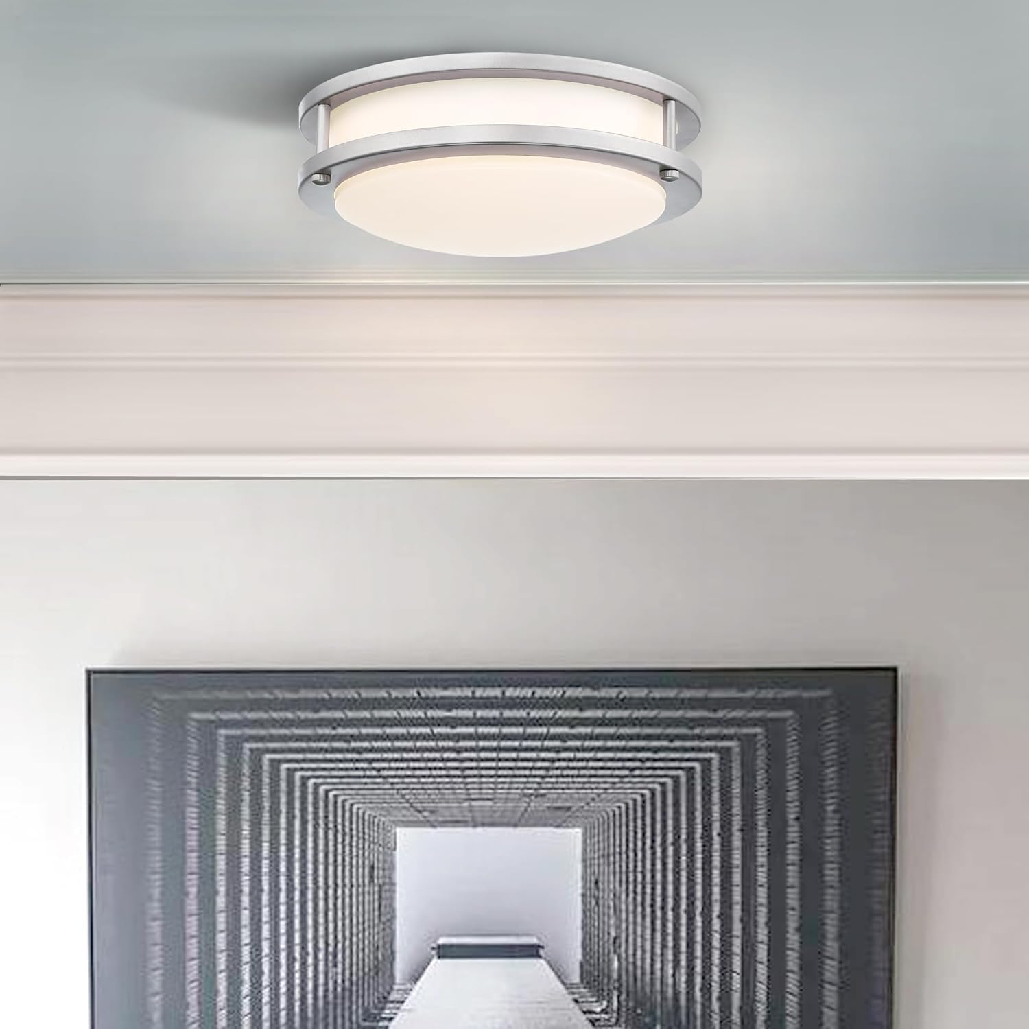Brushed Nickel Flush Mount LED Ceiling Light 1031 Inch